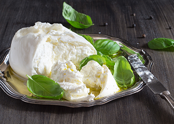 Burrata cheese Burrata cheese