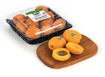 Albicocche Selezione Qualità conf. 700 gr