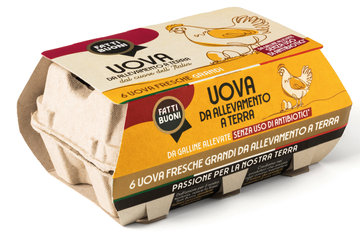 Fatti Buoni uova 6 pezzi allevate a terra