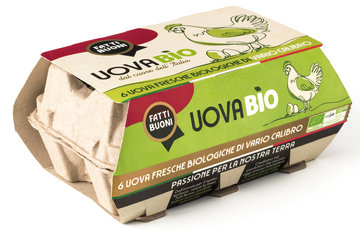 Fatti Buoni uova 6 pezzi Bio