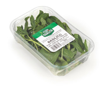 BASILICO VASSOIO SQ         KG 0,030