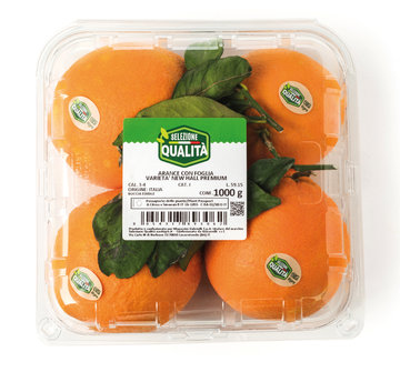 Arance Navel Premium LSQ