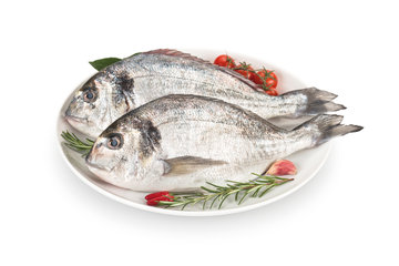 Orata selezione qualità da 300 a 600gr circa