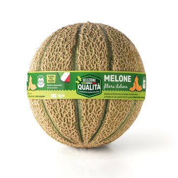 Melone retato Selezione Qualita' da 800 a 1800gr